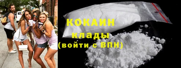 индика Михайлов