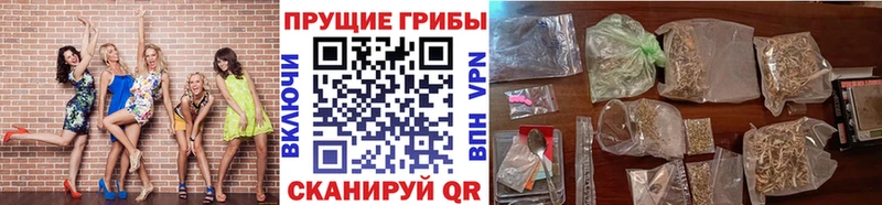 Галлюциногенные грибы Cubensis  Полтавская 